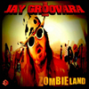 JAY GROOVARA