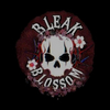 bleak480089